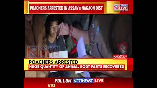 Assam: Huge Quantity Of Animal Body Parts Seized From Nagaon, 3 Poachers Arrested