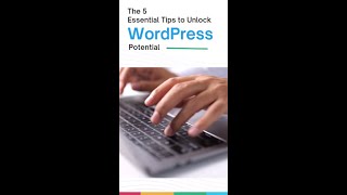 The 5 Essential Tips to Unlock Wordpress Potential