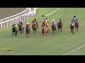 20230527 hollywoodbets greyville express clip race 9 won by shanta s pride