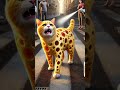 😱kittu ko virus hua cat kitty shorts cartoon youtubeshorts catlover cute cutecat funny