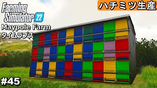 ハチミツ生産始めます / キャノーラの種まき・ローラーがけ【Maypole Farm タイムラプス編 #45】【Farming Simulator22】