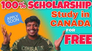100% Canadian University Scholarship for International Students | Canada Tamil vlog | தமிழ்