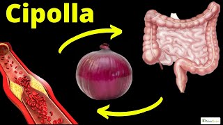 🧅 RIVELAZIONE! così il TUO CORPO reagisce quando MANGI la CIPOLLA