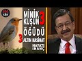 Little Bird's Advice - 3 Golden Counsel - From Mesnevi - Hayati İNANÇ