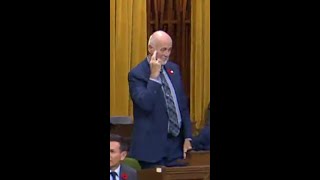 Did this Liberal MP give Conservatives the middle finger?