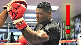 LUIS ORTIZ BACK IN THE GYM : COUNTERPUNCHED