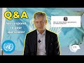 Who are UN peacekeepers and what do they do? Q&A | United Nations