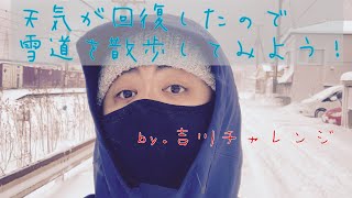 お散歩途中にホワイトアウト！雪道をお散歩してみよう！[吉川チャレンジ]