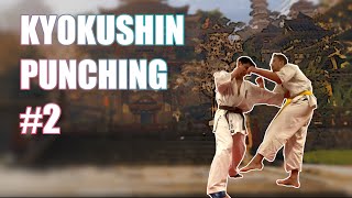 Kumite PUNCHES in Kyokushin Karate #2: Advanced Techniques