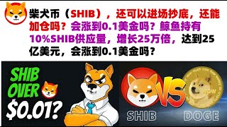 柴犬币（SHIB），还可以进场抄底，还能加仓吗？会涨到0.1美金吗？鲸鱼持有10%SHIB供应量，增长25万倍，达到25亿美元，最初投资仅1万美元，会涨到0.1美金吗？shib币|柴犬币|屎币行情分析