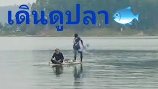 ตัวใหญ่ใหญ่ทั้งนั้น🐟อ่างห้วยสะพาน บ่อวิน ชลบุรี