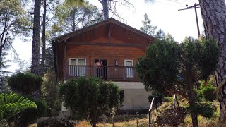 KMVN Kausani Rest House #kausani #kmvn #cottage #uttarakhand