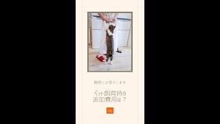 ペット飼育時の追加費用は？【質問にお答えします_096】#ペット可 #ペット可シェアハウス #ペットシェアハウス #ペット可賃貸 #離婚ペット #離婚犬 #離婚猫 #別居ペット #別居犬 #別居猫