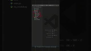 Python Module vs Package vs Libraries #pythonprogramming