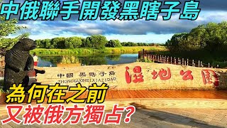 中俄聯手開發黑瞎子島，為何在之前，又被俄方獨占？【史海近岸航者】#歷史 #近代史