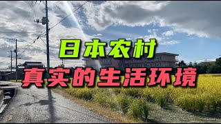 生活在日本鄉下，出門就是稻田和菜園：跟中國農村區別大嗎？