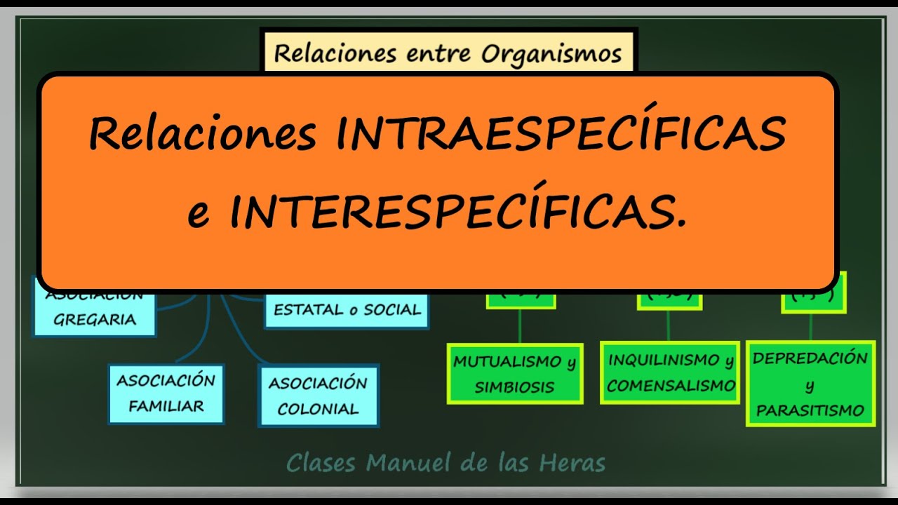 Relaciones Ecológicas Intraespecíficas E Interespecíficas ...