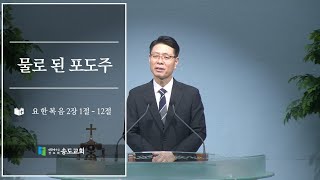 "물로 된 포도주" - 한진석 담임목사  (24.10.27.주일 오전예배)