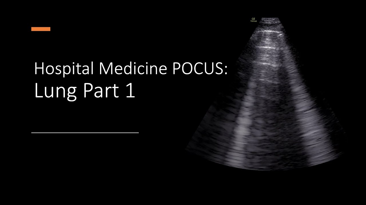 Hospital Medicine POCUS: Lung Part 1 - YouTube