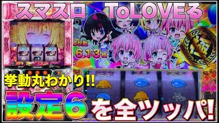 【ToLOVEる】人気台の設定6をぶん回したら驚きの結果に...(後編)#192