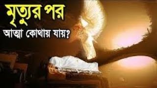 মৃত্যুর পর আত্মা কোথায় যায়?? বিজ্ঞানীরাও অবাক হয়েছে। Where the human soul goes after death