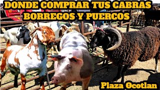 La Plaza Ganadera más grande y antigua  de Oaxaca México, en Chivos Borregos Puercos y Aves Ocotlan