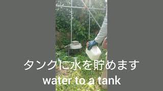 マンゴー園にて(13)液肥散布用に水をタンクに貯めます                    a day in the mango farm Okinawa .put in water to tank