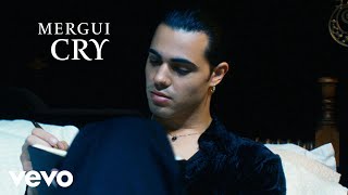 Mergui - Cry ( Visualizer)