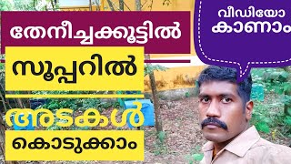 തേനീച്ചക്കൂട്ടിൽ സൂപ്പറിൽ അട കൊടുക്കുന്നത് കാണാം Beekeepping Beefaming honeybeefaming