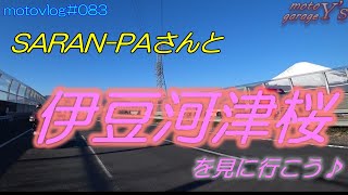 saran PAさんと伊豆河津桜を見に行こう♬vol1 ninja650R【motovlog#083】2020/2/11