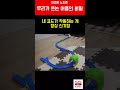 유머 비전공자도 이해하는 프로그래머의 고충