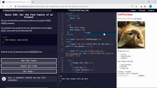 Basic CSS (6/44) | Set the Font Family of an Element | freeCodeCamp