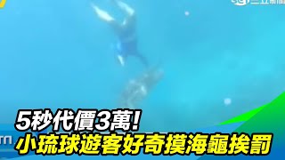 5秒代價3萬！小琉球遊客好奇摸海龜挨罰｜三立新聞台