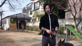 ドッグトレーナー　犬訓練士　警察犬訓練士　日本訓練士養成学校　オールドックセンター　生徒の声　①