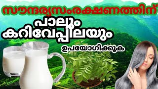 #milkwithCurryleaves കറിവേപ്പിലയു  പാലു കുടി ചേർത്ത് കുടിച്ചാൽ ഉള്ള ആരോഗ്യ ഗുണം