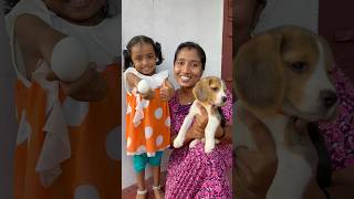 പാവം funny 😄😄😛😊🐶🐶dont miss the end 😄👍😊#shorts #trending #funny