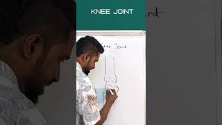 common knee pain | കാൽമുട്ട് വേദന