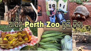 ଆଜି ଆମେ Perth Zoo ବୁଲି ଗଲୁ Mother’s Day celebration କରିବା ପାଇଂ॥ Organic ଜନହି