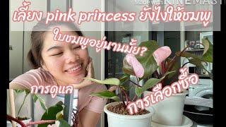 Q\u0026A เลี้ยง pink princess ยังไงให้ชมพู , การเลือกซื้อ, การดูแลพิ้งค์ปริ้นเซส #ฉบับมือใหม่แบบเรา