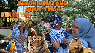 ALBAHREEN LIBURAN WISATA KE KEBUN BINATANG BUKIT TINGGI || SUMATERA BARAT