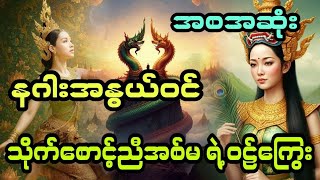 နဂါးအနွယ်ဝင် သိုက်စောင့် ညီအစ်မရဲ့ ဝဋ်ကြွေး ( အစအဆုံး)