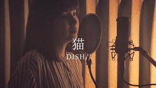 【女性カバー】猫 - DISH//  covered by キノシタユイ