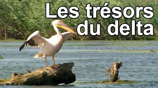 Les trésors du delta