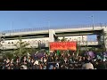 月下桜舞連～kobealive2013 みなとの森公園