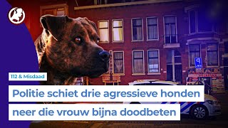 Drie honden bijten vrouw bijna dood