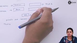 Visual Basic Programing Variable, Constants, Arrays, Operators - Visual Basic