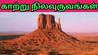 காற்று நிலவுருவங்கள் | Desert Landforms In Tamil | Tamil Geography News