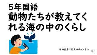 ５年国語動物たちが教えてくれる海の中のくらし