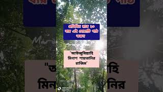 প্রতিদিন মাত্র ১০ বার এই দোয়াটি পাঠ করুন  #youtubeshorts