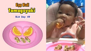 #ErinEats | Egg Roll (Tamagoyaki) | BLW Day 49